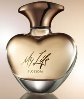 Mary J. Blige My Life Blossom