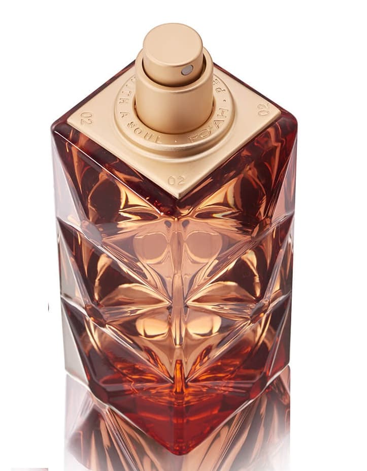 Mémoires d'une Palmeraie 17