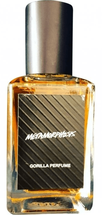 Metamorphosis