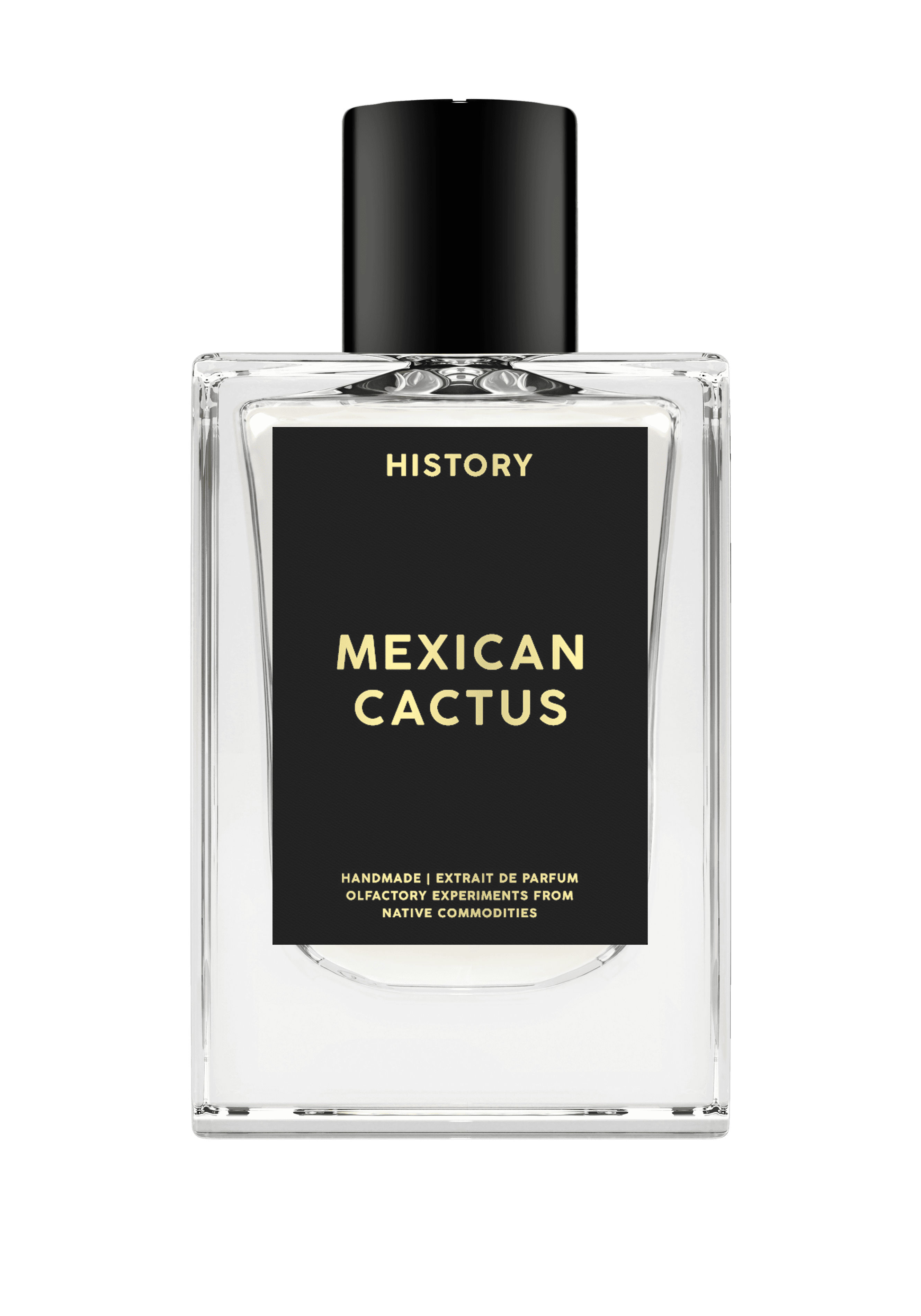 Mexican Cactus