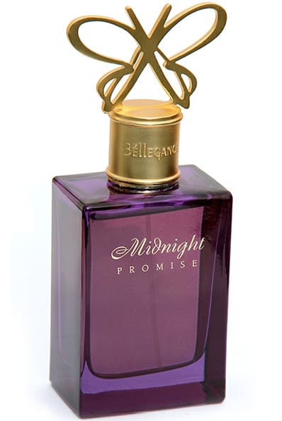 Midnight Promise