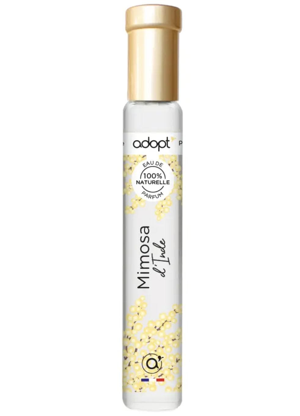 Mimosa d'Inde