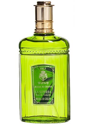 Mora Di Gelso