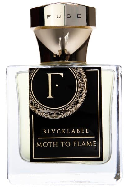 Moth To Flame
