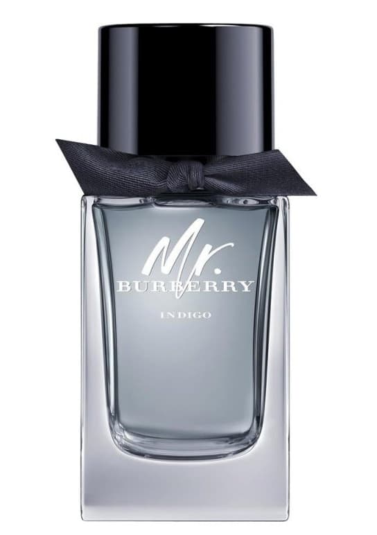 Mr. Burberry Indigo