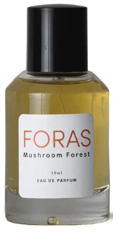 Mushroom Forest