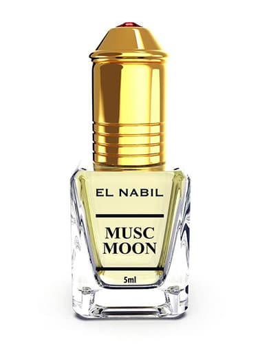 Musk Moon