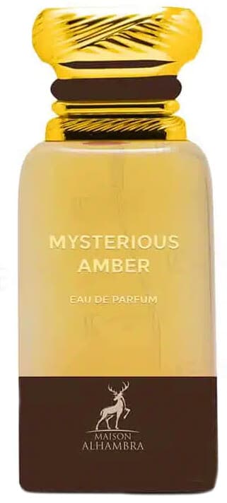 Mysterious Amber