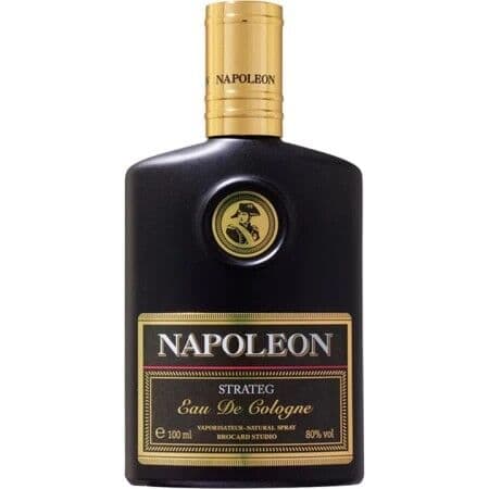 Napoleon Strateg