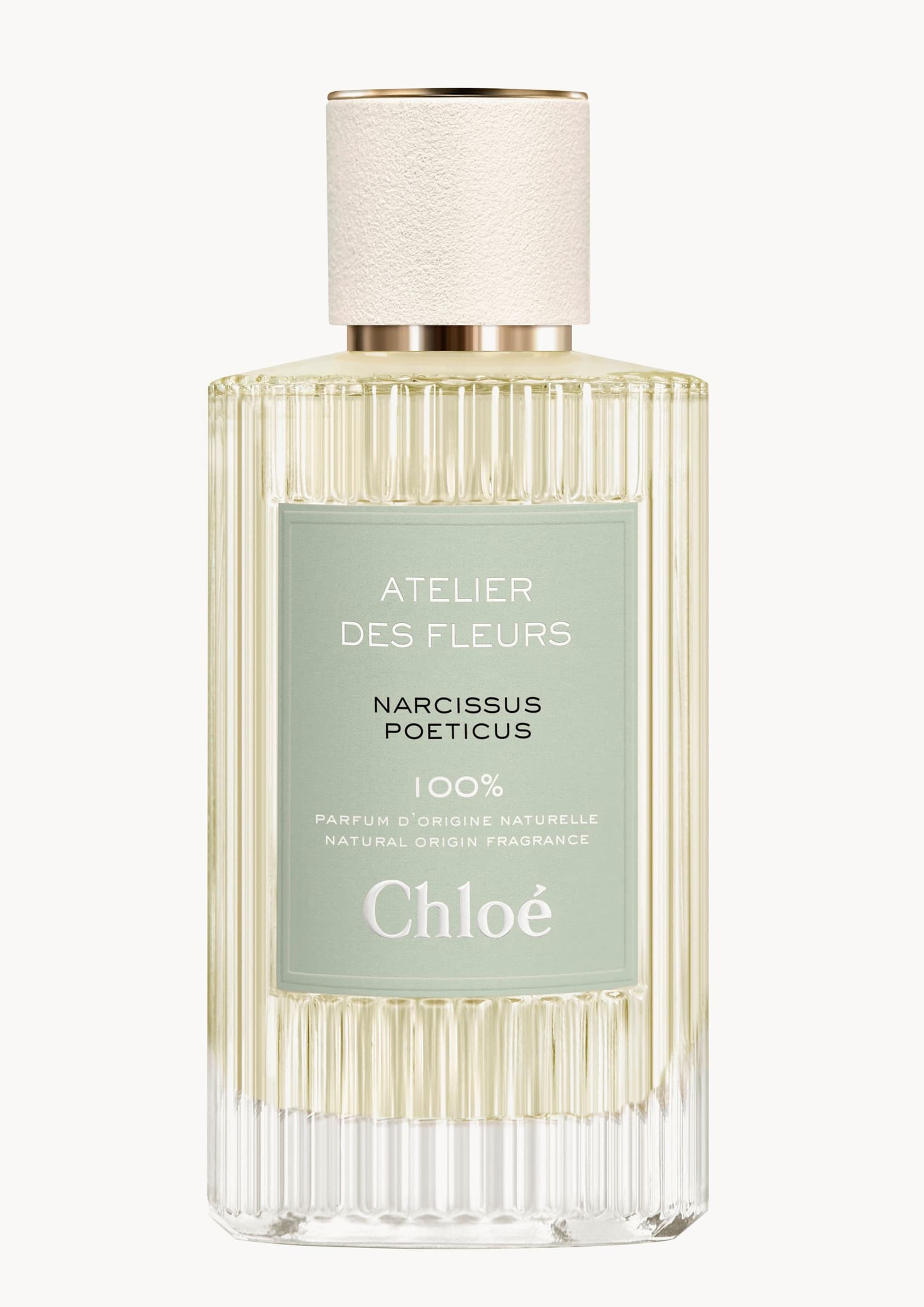 Narcissus Poeticus