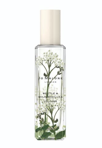 Nettle & Wild Achillea