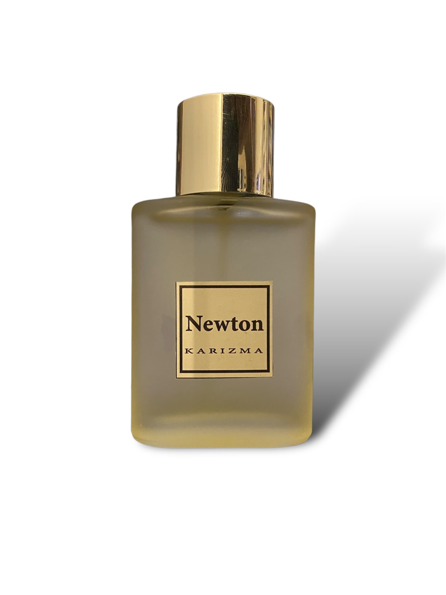 NEWTON