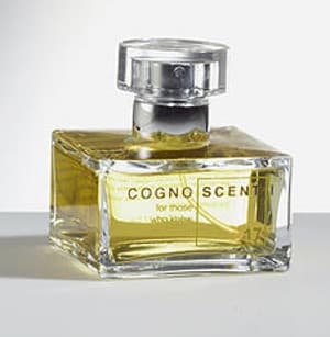 No 17 Civet Chypre