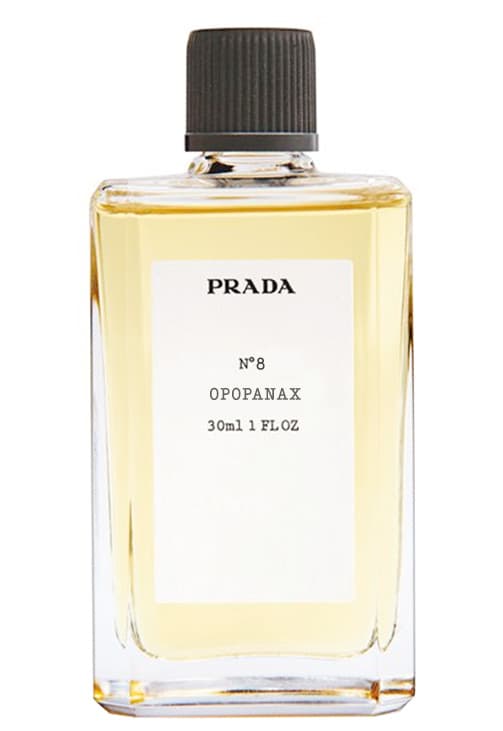 No8 Opopanax