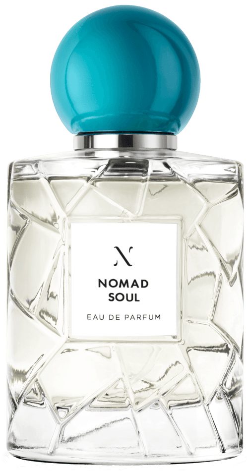 Nomad Soul