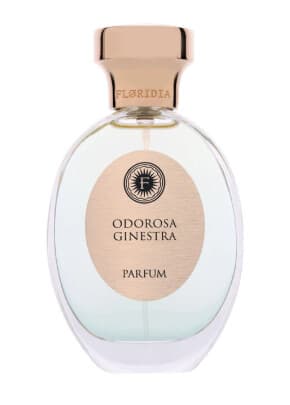 Odorosa Ginestra