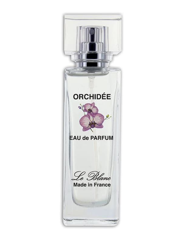 Orchidée