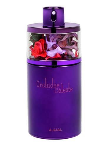 Orchidee Celeste