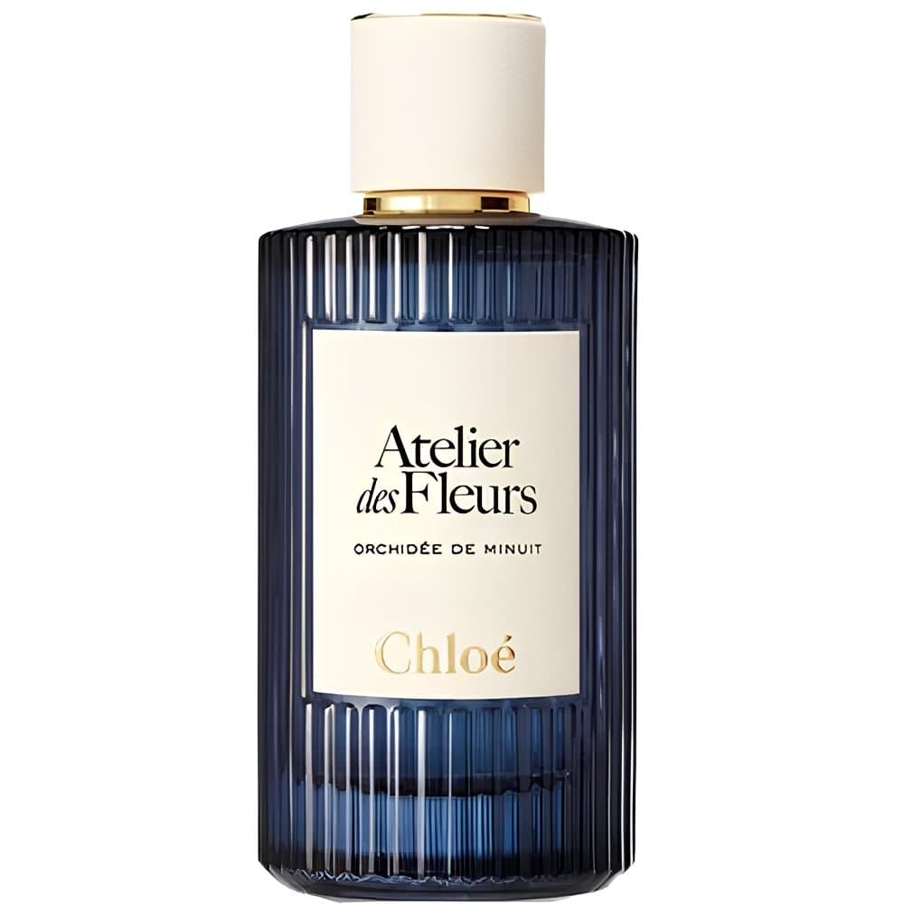 Orchidée de Minuit