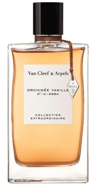 Orchidée Vanille