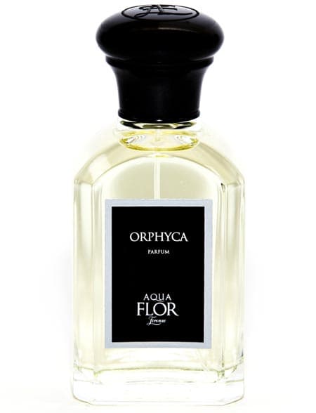 Orphyca