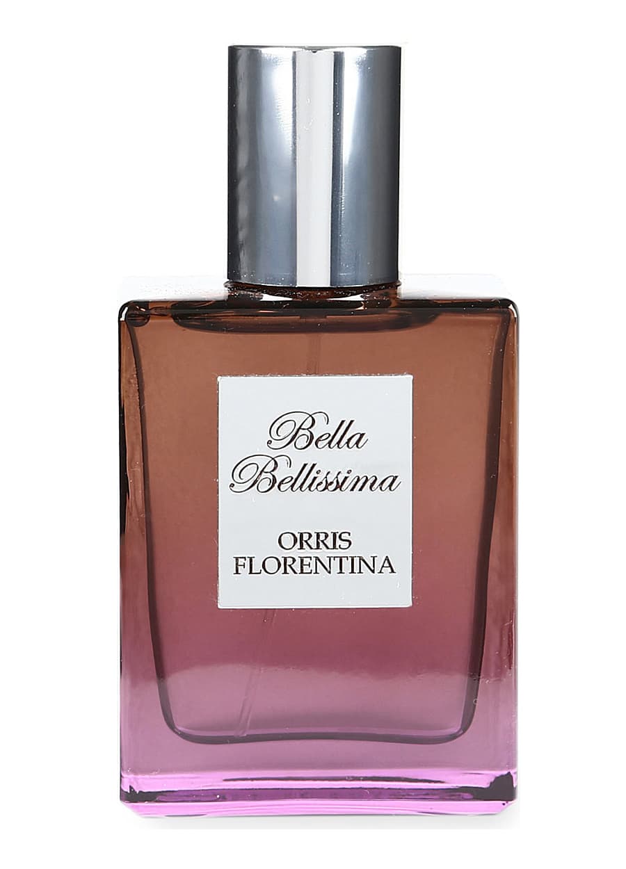 Orris Florentina