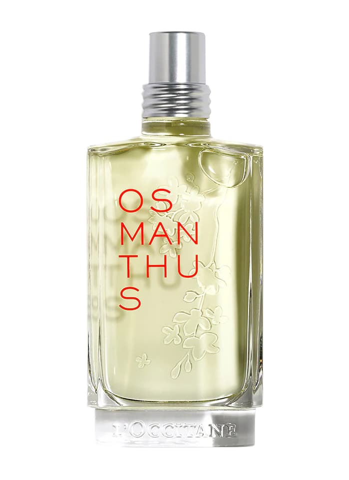 Osmanthus