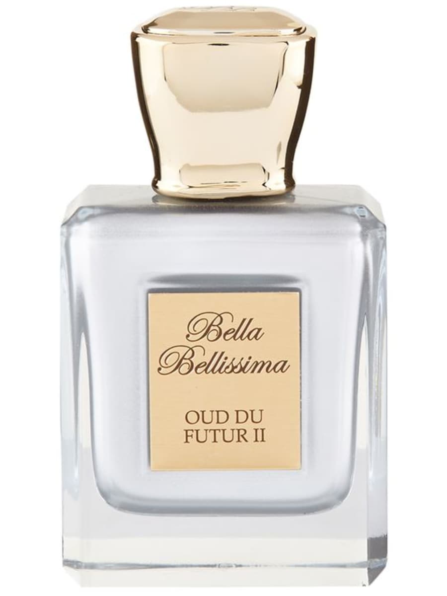 Oud du Futur II
