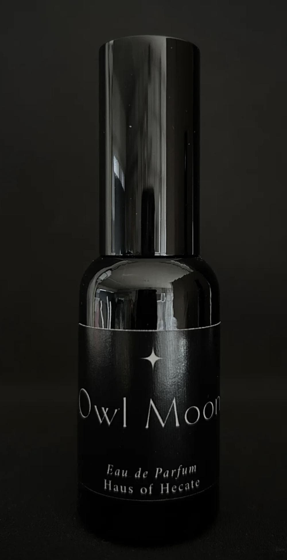 Owl Moon
