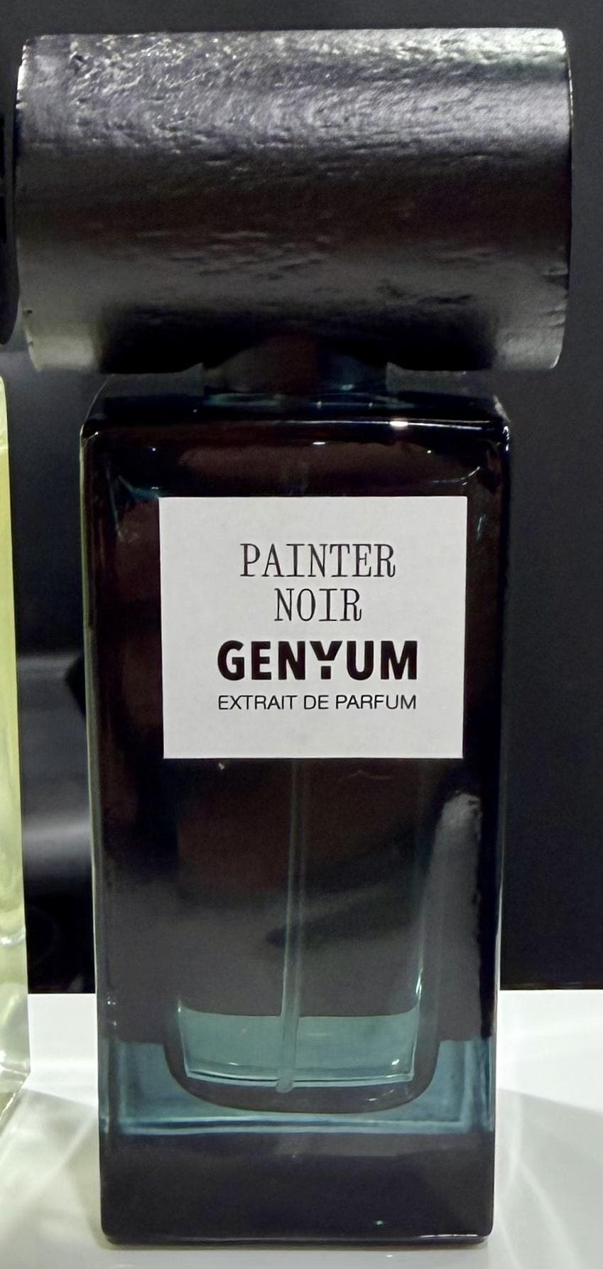 Painter Noir