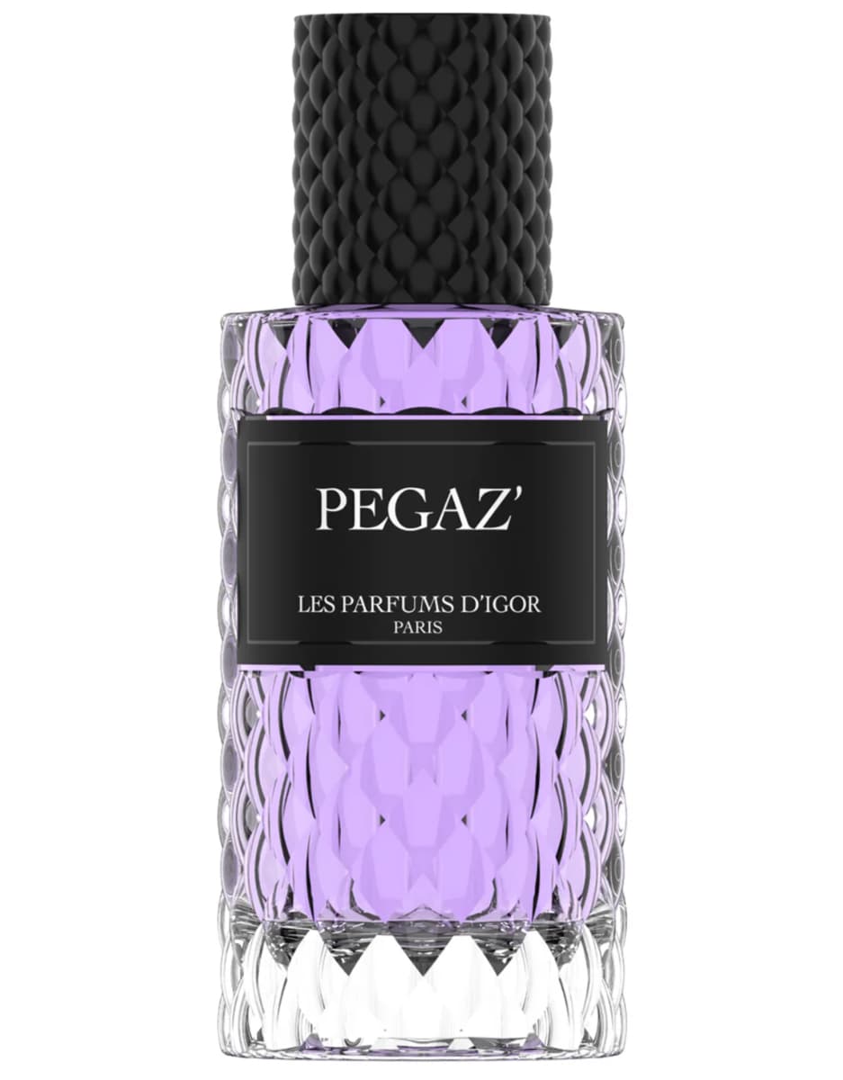 Pegaz'