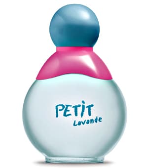 Petit Lavande