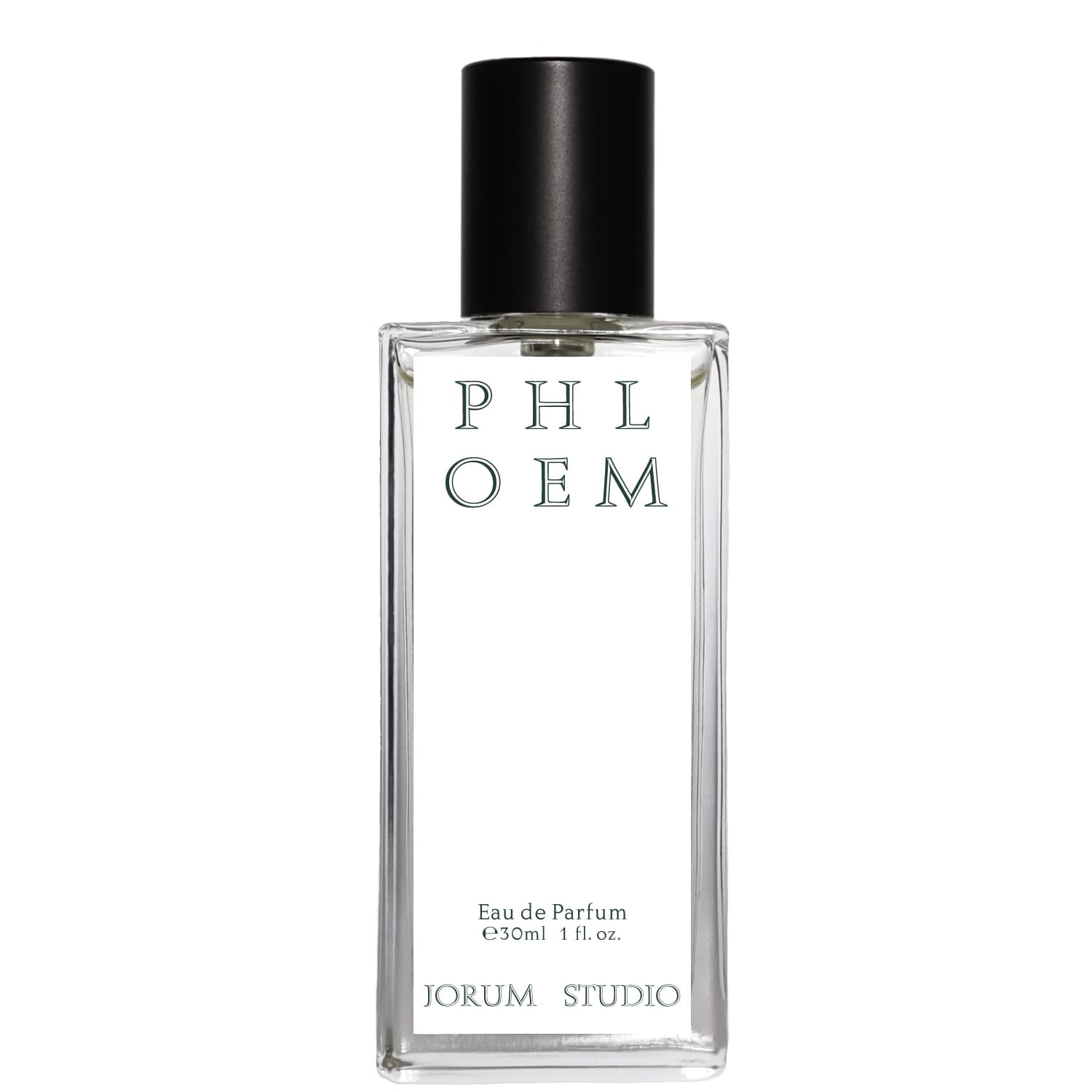 Phloem