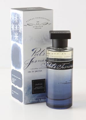 Poet’s Jasmine