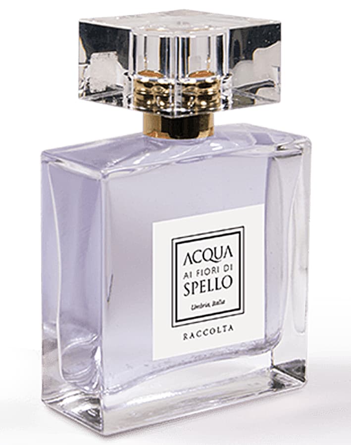 Raccolta