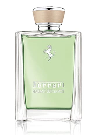 Radiant Bergamot