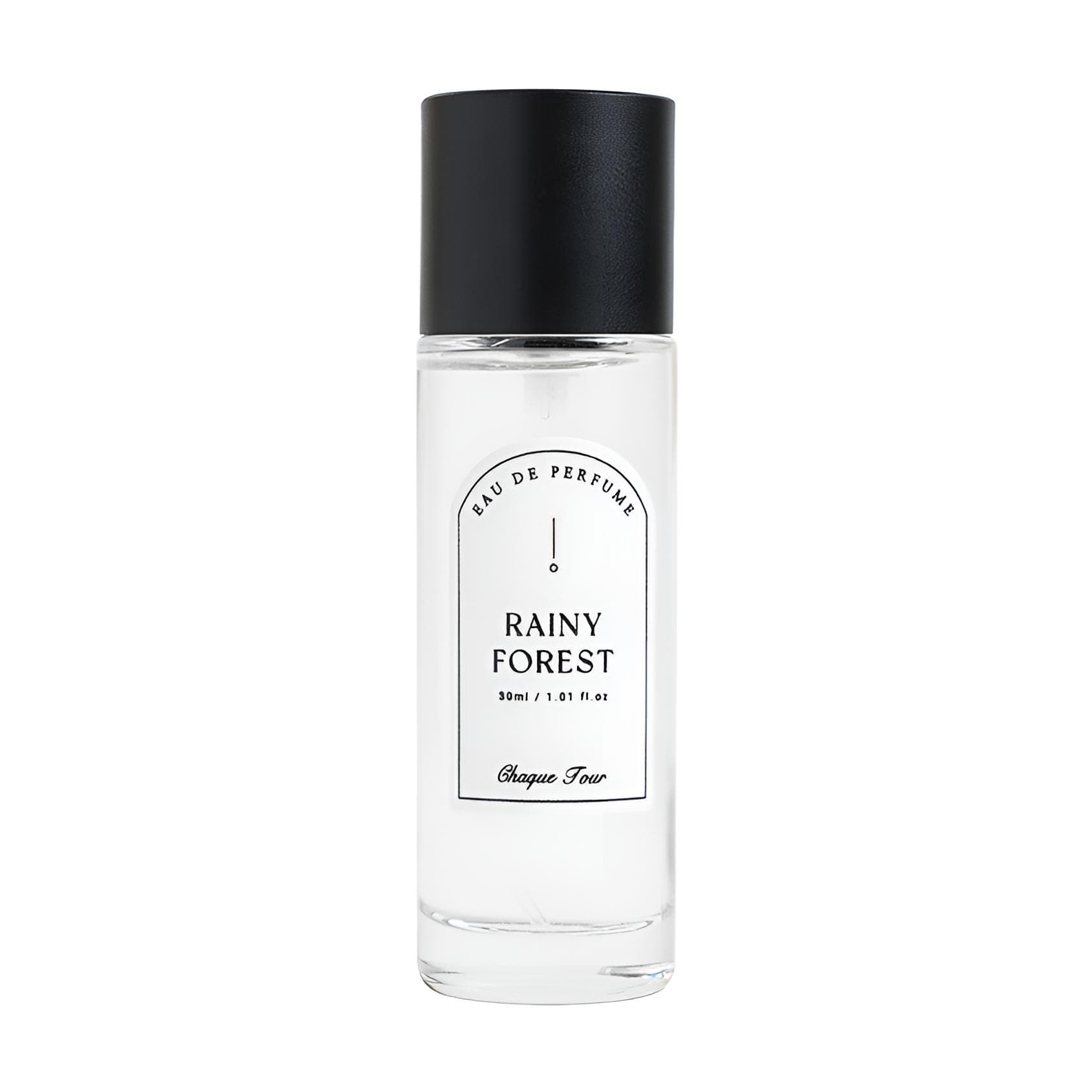 Rainy Forest
