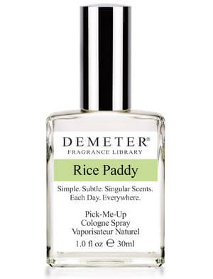 Rice Paddy