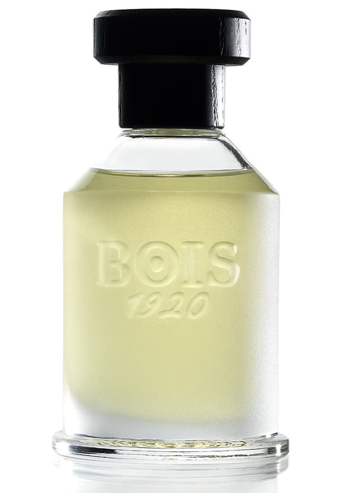 Rosa 23