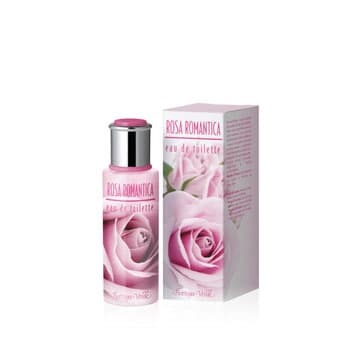 Rosa Romantica