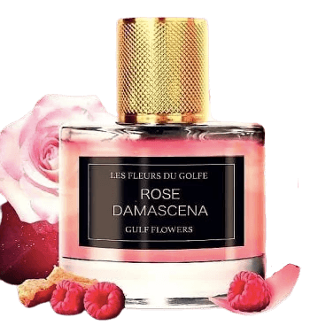 Rose Damascena