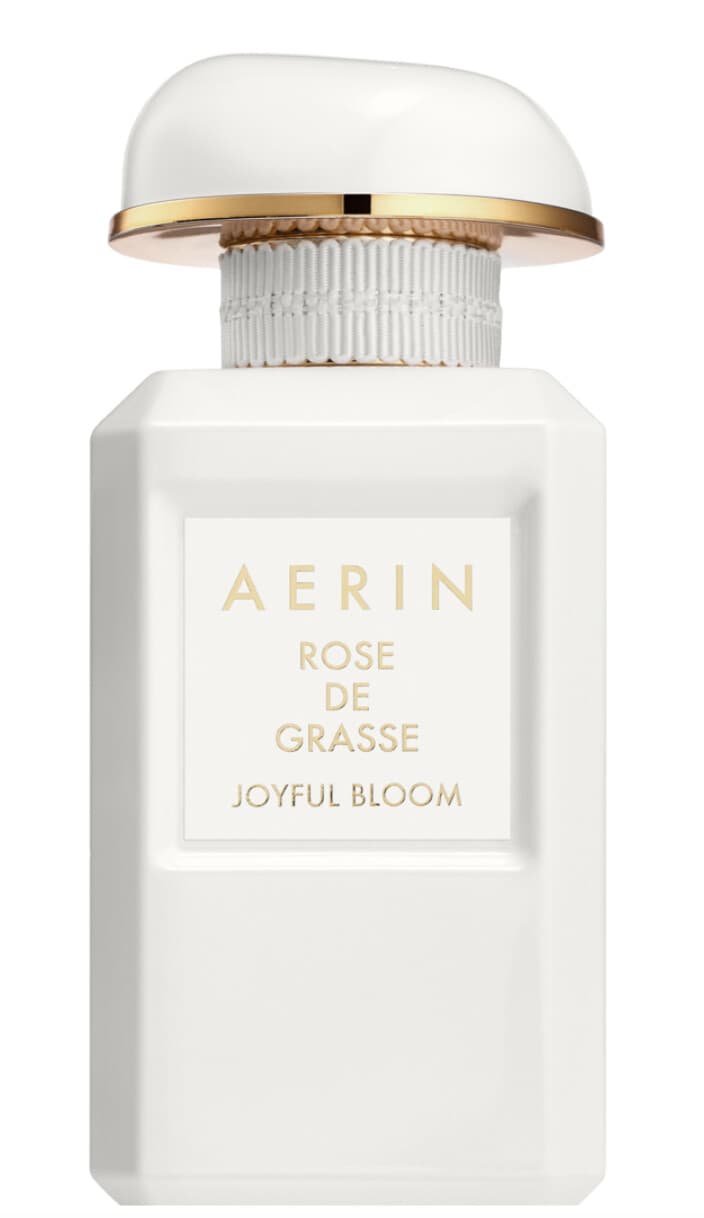 Rose de Grasse Joyful Bloom