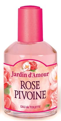 Rose Pivoine