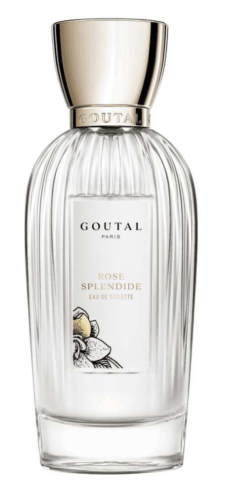 Rose Splendide