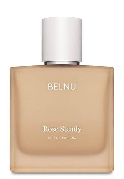 Rose Steady