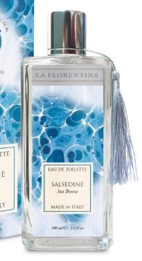 Salsedine