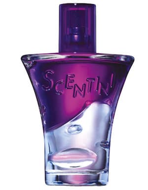 Scentini Nights Purple Pulse