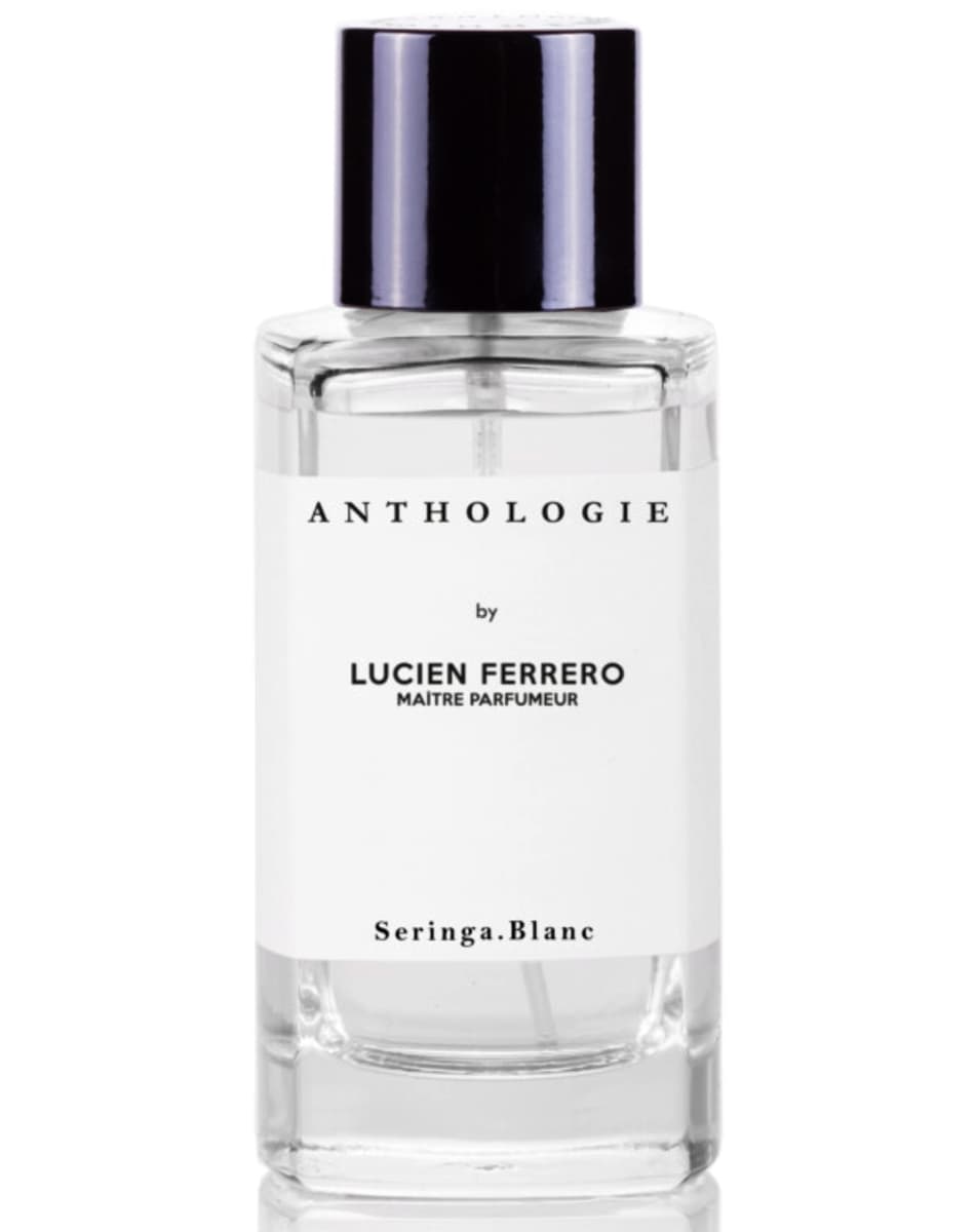 Seringa Blanc