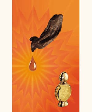 Shatha Al Oudh