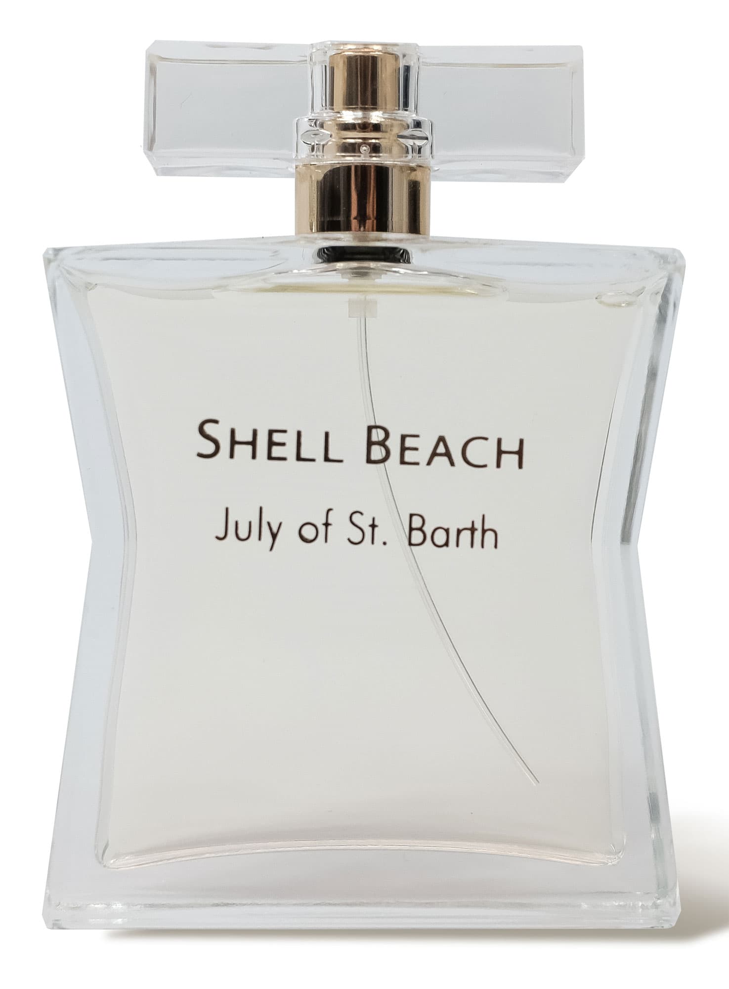Shell Beach